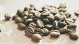 深海一万米：人类从未抵达的世界